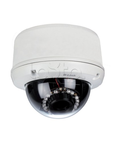 IP-камера видеонаблюдения уличная купольная D-Link DCS-6510/EP в Чите IP-камеры Pintop.ru
